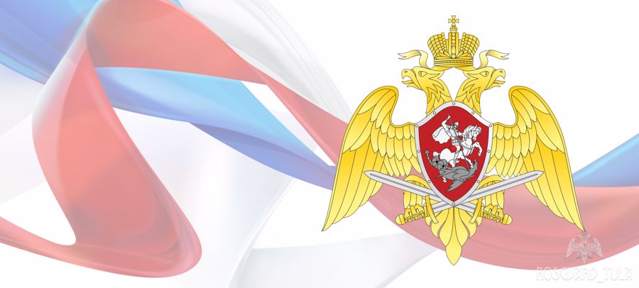 Тульские росгвардейцы задержали мужчину с пневматической винтовкой