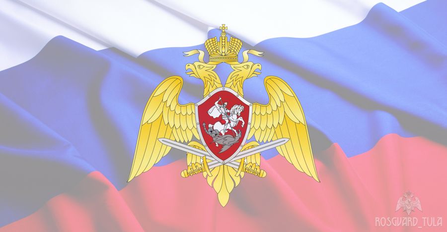 Росгвардия установила особенности осуществления в 2020 году разрешительной деятельности