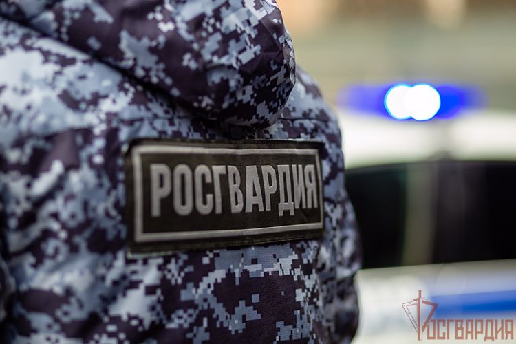 Тульские росгвардейцы задержали подозреваемых в краже 