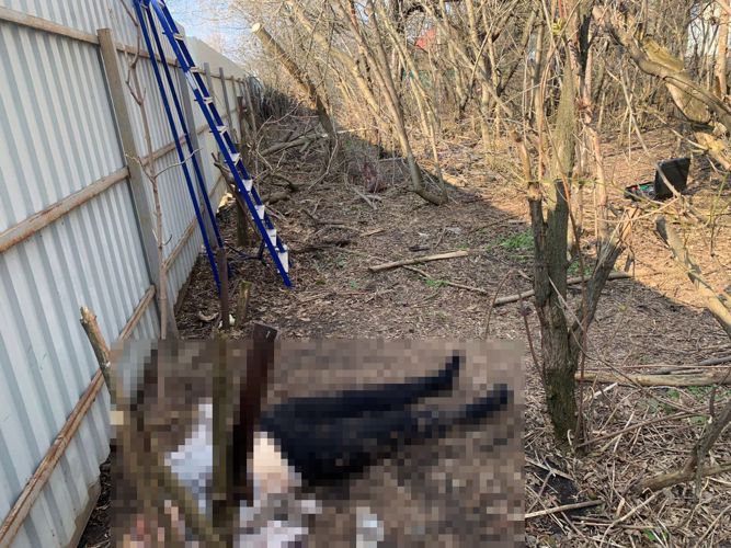 Росгвардейцы по горячим следам задержали подозреваемого в убийстве в Тульской области