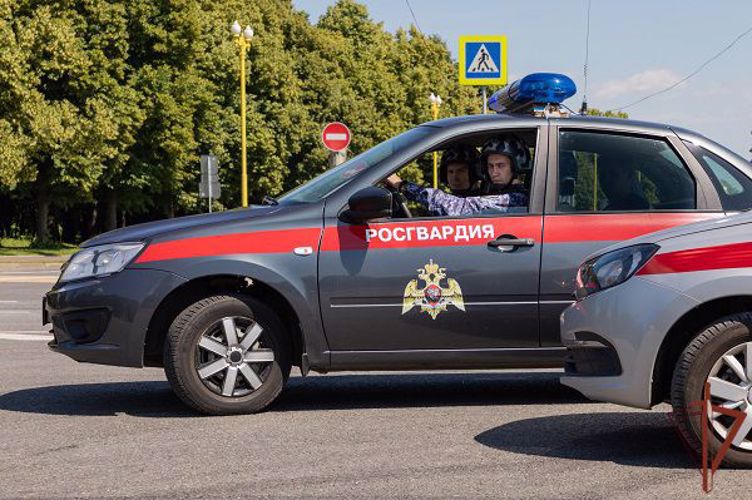Сотрудники росгвардии пресекли факт вождения в нетрезвом виде в Тульской области