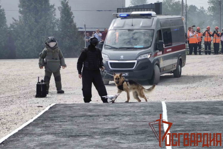 Тульские росгвардейцы приняли участие в командно-штабных учениях