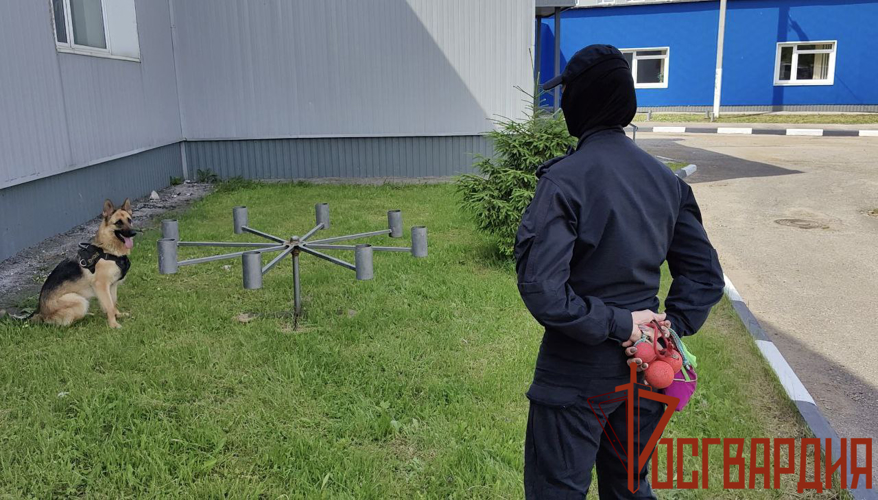 Начальник Управления Росгвардии по Тульской области поздравил кинологов с профессиональным праздником 