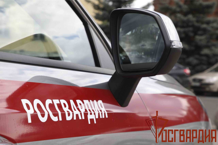 Росгвардейцы обеспечили правопорядок во время проведения футбольного матча в Туле