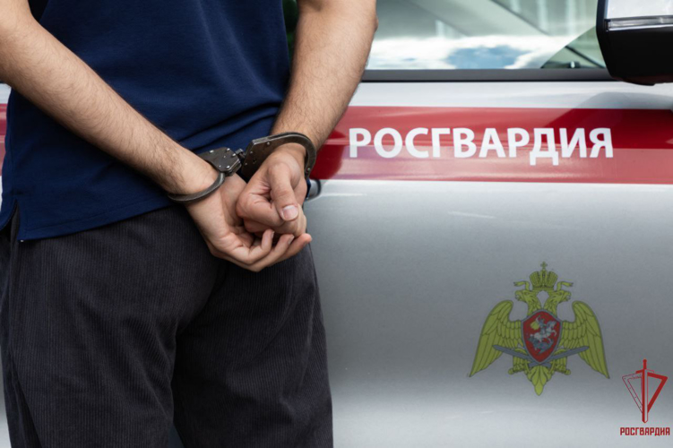 Сотрудники вневедомственной охраны Росгвардии задержали дебошира в Туле
