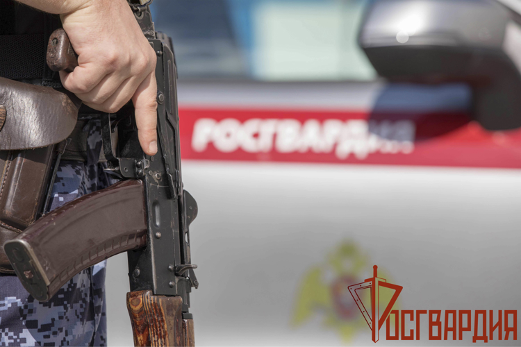  Росгвардейцы за неделю пресекли около 25 административных правонарушений в Тульской области