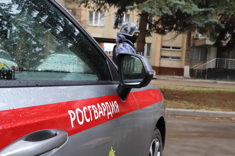 Росгвардейцы за неделю пресекли более 30 административных правонарушений в Тульской области