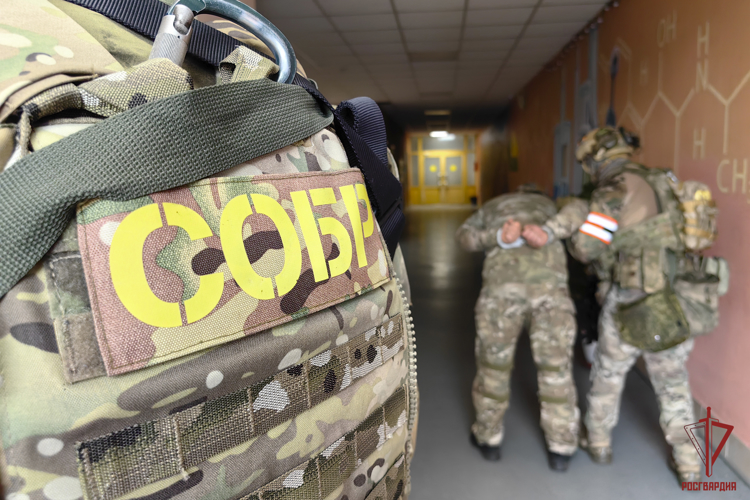 Тульские росгвардейцы провели масштабные учения в образовательных учреждениях