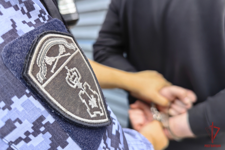Сотрудники вневедомственной охраны за неделю пресекли около 90 административных правонарушений в Тульской области