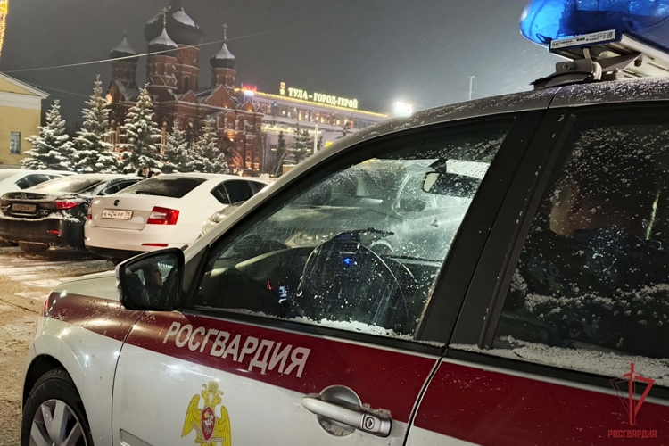 Тульские росгвардейцы за неделю пресекли 47 административных правонарушений