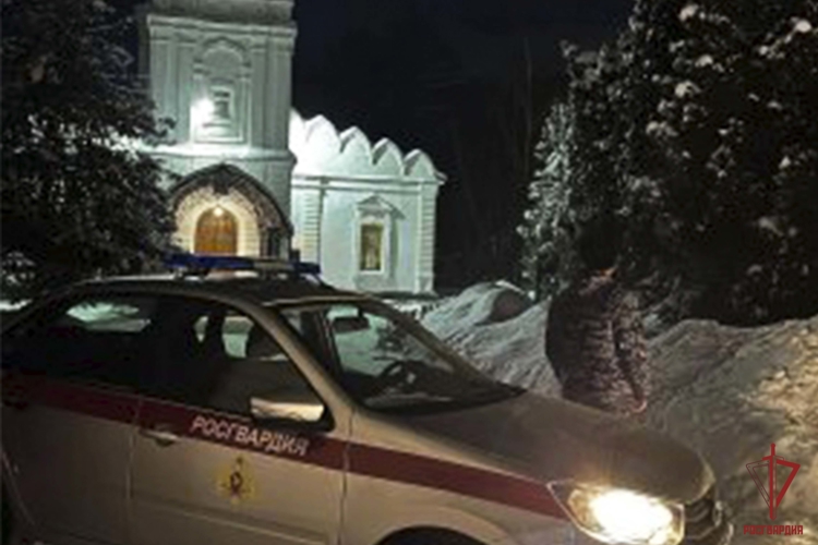Тульские росгвардейцы обеспечили правопорядок во время празднования Крещения Господня