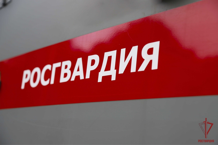 Сотрудники Росгвардии оказали помощь в поиске потерявшегося ребенка в Туле