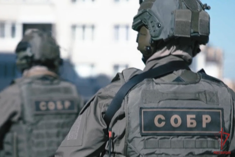 В Туле сотрудники СОБР Росгвардии оказали содействие при задержании подозреваемых в грабеже (видео)